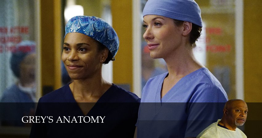 Превью Анатомия страсти Grey s Anatomy