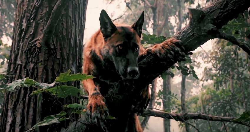 Превью Псарня 2025